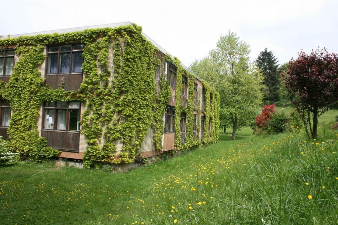 Parkblick Appartement - Entspannung pur! Ober-Hambach Buitenkant foto